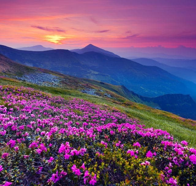 Friday Favorites: Appalachian Spring